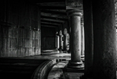 IIP Online Student Photography
